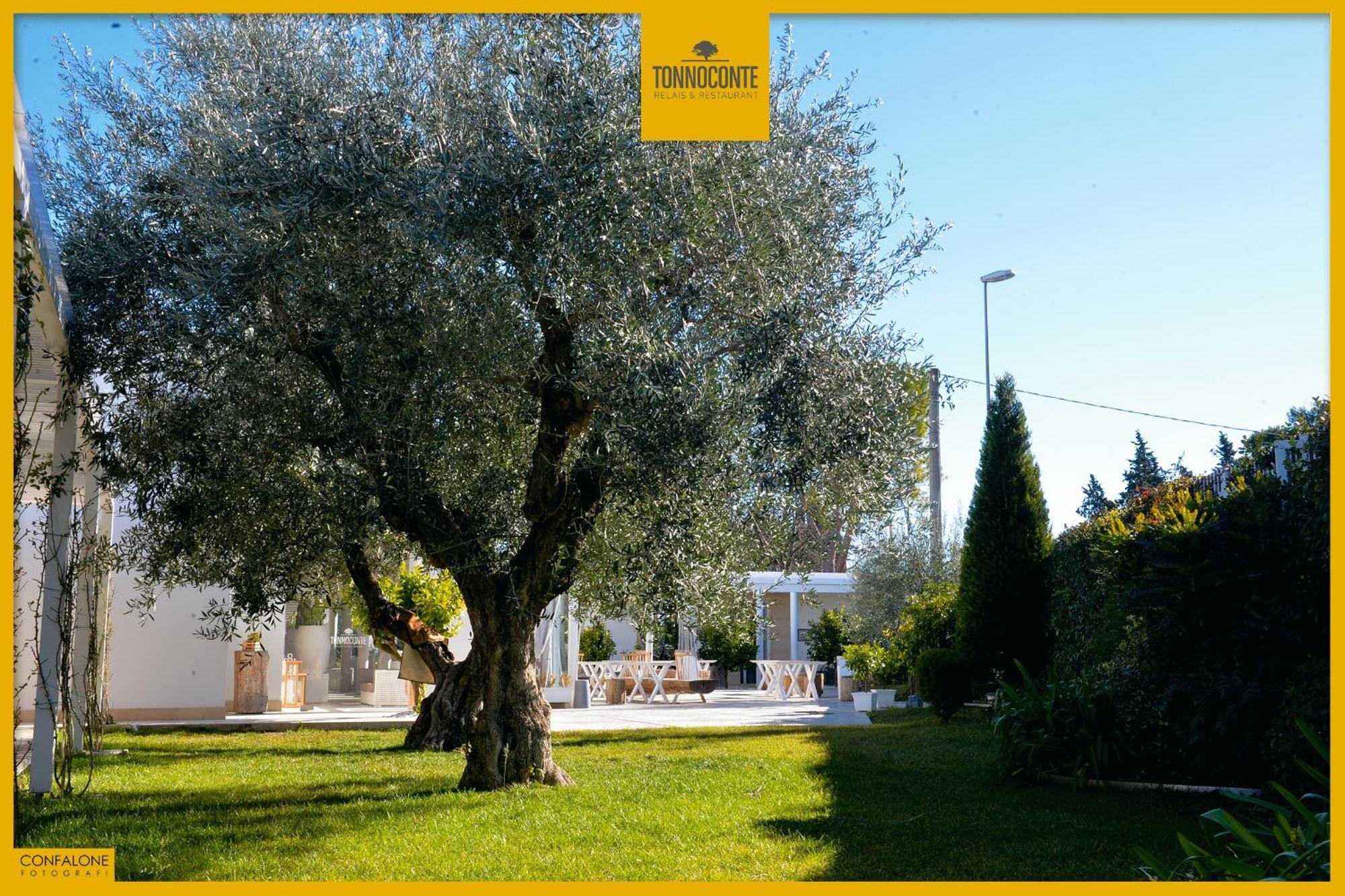 Tonnoconte Relais & Restaurant Bed and Breakfast Andria Esterno foto